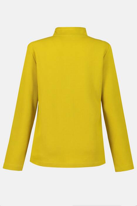 Sweatjacke, Teilungsnähte, Stehkragen, Bindeband