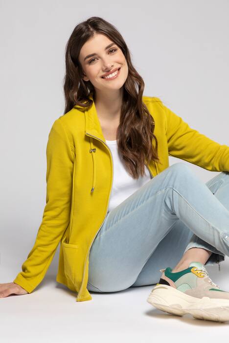 Sweatjacke, Teilungsnähte, Stehkragen, Bindeband