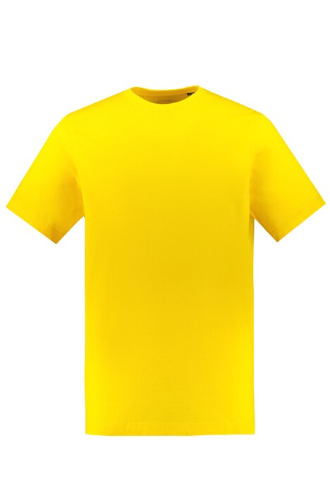 Tričko, kolekce Basic, česaná bavlna, kulatý výstřih, do 8 XL