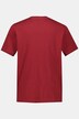 T-Shirt, Basic, Rundhals, gekämmte Baumwolle, bis 10 XL