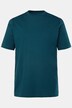 Tričko, kolekce Basic, česaná bavlna, kulatý výstřih, do 8 XL