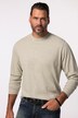 JP1880 Langarmshirt, Basic, OEKO-TEX, bis 8 XL
