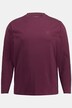 JP1880 Langarmshirt, Basic, OEKO-TEX, bis 8 XL