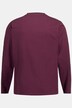 JP1880 Langarmshirt, Basic, OEKO-TEX, bis 8 XL