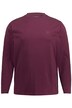 JP1880 tričko s dlouhými rukávy, kolekce Basic, do 8XL