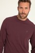 JP1880 Langarmshirt, Basic, OEKO-TEX, bis 8 XL