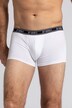 JP1880 Hip-Pants FLEXNAMIC®, OEKO-TEX, 2er-Pack, Unterhose, bis 8XL