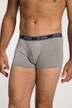 JP1880 Hip-Pants FLEXNAMIC®, OEKO-TEX, 2er-Pack, Unterhose, bis 8XL