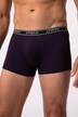 JP1880 Hip-Pants FLEXNAMIC®, OEKO-TEX, 2er-Pack, Unterhose, bis 8XL
