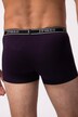 JP1880 Hip-Pants FLEXNAMIC®, OEKO-TEX, 2er-Pack, Unterhose, bis 8XL