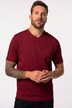 JP1880 T-Shirts, Basic, 2er-Pack, V-Ausschnitt, Halbarm, bis 8 XL