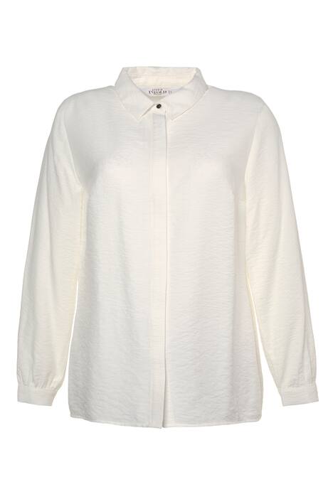 Textured Hidden Placket Long Sleeve Blouse