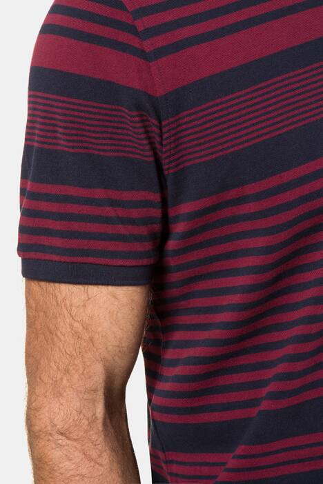 Variable Stripe Pique Cotton Knit Polo Shirt