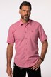 Short Sleeve Check Print Traditional Shirt