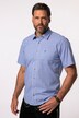 Hemd, Tracht, Halbarm, Kent Kragen, Modern Fit