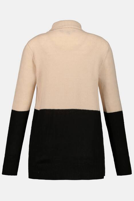 Colorblock Turtleneck Long Sleeve Sweater