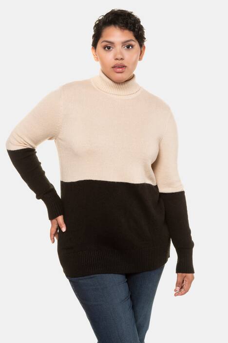 Colorblock Turtleneck Long Sleeve Sweater