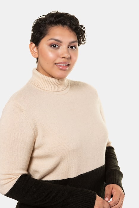 Colorblock Turtleneck Long Sleeve Sweater