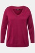 Maglione in morbida maglia fine con scollo a V e maniche lunghe