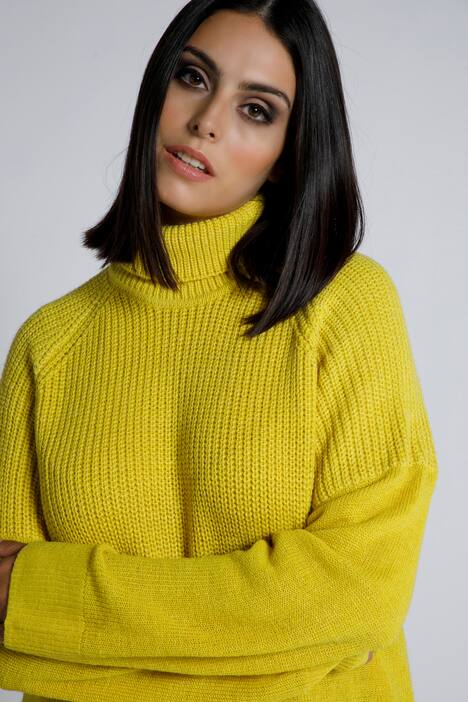 Rollkragenpullover, Strickmuster, Langarm