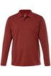 Polokošile, kolekce Basic, dlouhé rukávy, piké, do 8XL