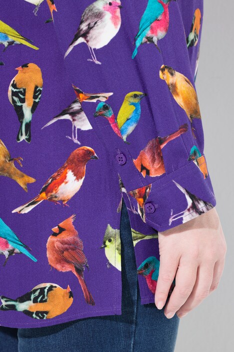 Chemisier, oiseaux, col chemise, manches longues