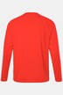 JAY-PI functioneel shirt, FLEXNAMIC®, fitness, lange mouwen, QuickDry, tot 7XL