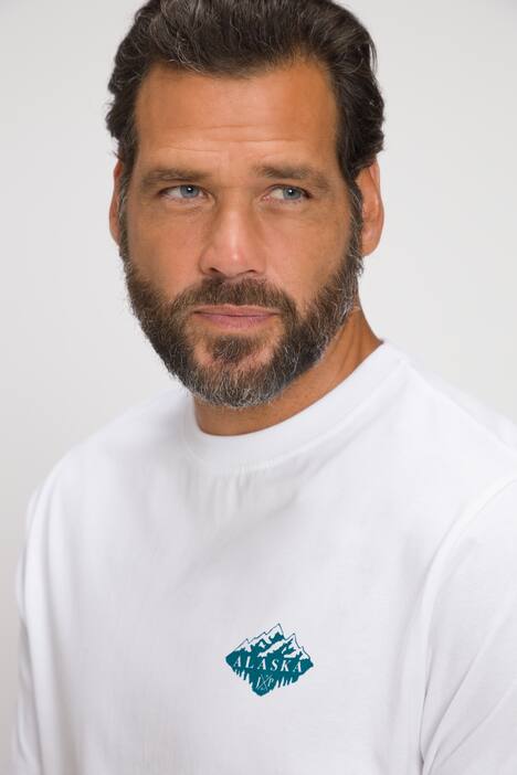 T-shirt à manches courtes, avec imprimé Alaska dans le dos