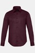 JP1880 Hemd, FLEXNAMIC®, Kentkragen, Modern Basic Fit, bis 7 XL