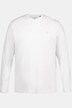 Langarmshirt, Basic, Langarm, V-Ausschnitt, bis 8 XL
