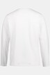 Langarmshirt, Basic, Langarm, V-Ausschnitt, bis 8 XL