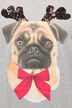 Holiday Pup Sequin Accent A-line Fit Tee