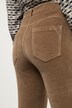 Samthose Tina, Biesen, gerades Bein, 5-Pocket-Form