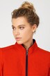 Sweatjacke, Stehkragen, Steppeinsatz, Reißverschluss