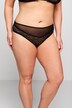 Sheer Leopard Print Lace Panty