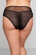 Sheer Leopard Print Lace Panty