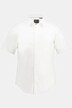 Overhemd, FLEXNAMIC®, korte mouwen, kentkraag, modern basic fit