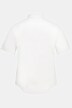 Overhemd, FLEXNAMIC®, korte mouwen, kentkraag, modern basic fit
