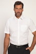 Overhemd, FLEXNAMIC®, korte mouwen, kentkraag, modern basic fit