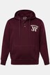 Hoodie, hooded jumper, chest embroidery, up to 8 XL