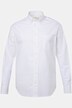 JP AWARE Hemd, Langarm, Buttondown-Kragen, GOTS zertifizierte Biobaumwolle