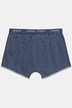 Hip pants FLEXNAMIC®, underpants
