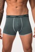 JP 1880 Hip-Pants FLEXNAMIC®, OEKO-TEX, Unterhose, bis 7XL