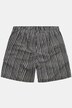 Short de bain JAY-PI, collection Beachwear. Taille élastique et rayures - jusqu'au 8 XL