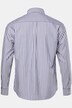 Gestreept overhemd, business, lange mouwen, verborgen buttondown-kraag, EasyCare, Modern Fit, tot 8XL