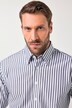Gestreept overhemd, business, lange mouwen, verborgen buttondown-kraag, EasyCare, Modern Fit, tot 8XL