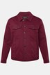 Men+-farkkutakki, värillinen denim, nappilista, suurin koko 84/86