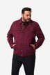 Men+-farkkutakki, värillinen denim, nappilista, suurin koko 84/86
