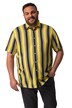 Košile Men+, břišní střih, krátké rukávy, pruhy, Kent límeček, Comfort střih, do 8XL