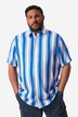 Camicia Men+ a righe con taglio speciale per l'addome, vestibilità comoda, colletto ad apertura inglese e mezze maniche, fino alla tg. 8XL